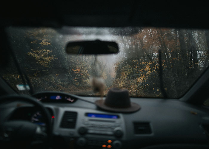 Car interior view through windshield of misty, mysterious forest road.