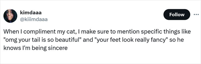 Tweet about complimenting a cat with specific phrases, highlighting its tail and feet.