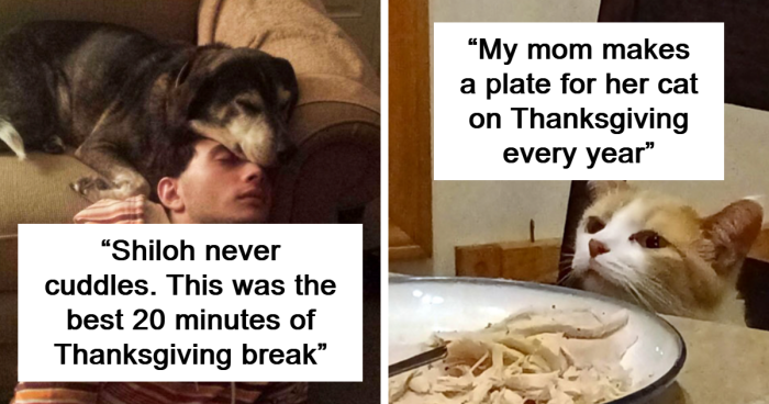 Netizens Share The Things That Made Thanksgiving Wholesome, Here Are The 80 Best Ones