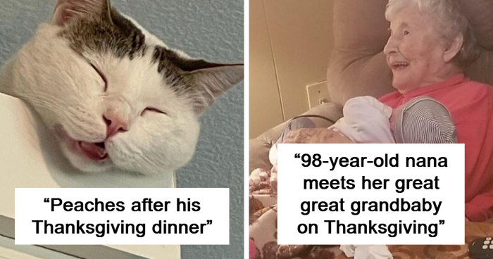 These 80 Thanksgiving Pics Might Be Cuter Than Your Grandma’s Pumpkin Pies