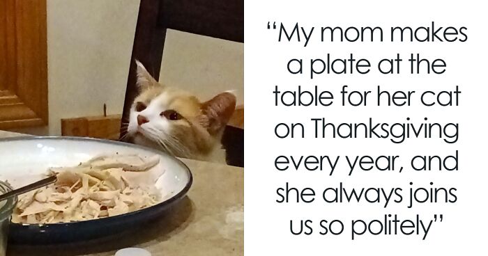 50 Wholesome Pics From People Who Did Thanksgiving Right