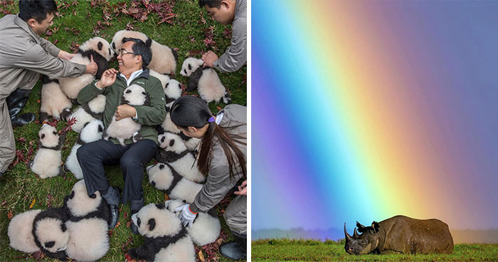 This Photographer Lived In Mud Huts, Wore A Panda Suit, And Changed How We See The World With Her Photos (20 Pics)