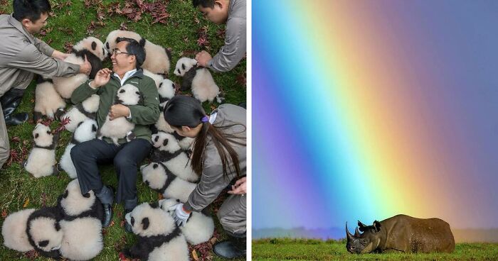 This Photographer Lived In Mud Huts, Wore A Panda Suit, And Changed How We See The World With Her Photos (20 Pics)