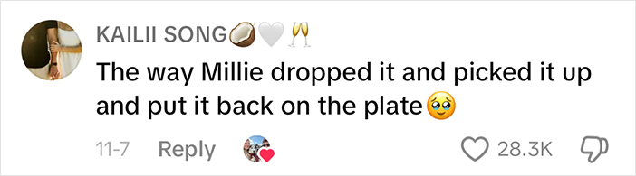 Comment about baby calf Millie dropping and picking up a plate, with emoji reactions and likes visible.