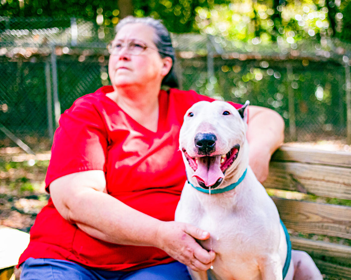 Trooper the dog smiling and sitting on a bench, after being rescued during Hurricane Milton.