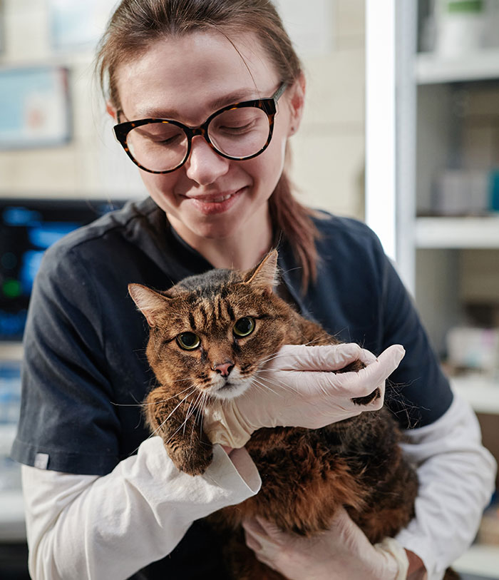 A woman smiling while holding a tabby cat, showcasing pet rehoming.