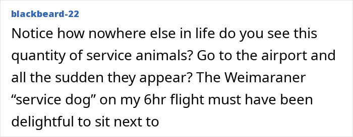 “Dog-Eat-Dog World”: Man Fumes Over Airplane Downgrade From First Class For Service Animal