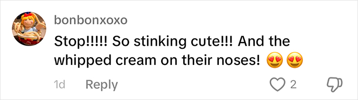 A comment praising cute baby calves with whipped cream on their noses.