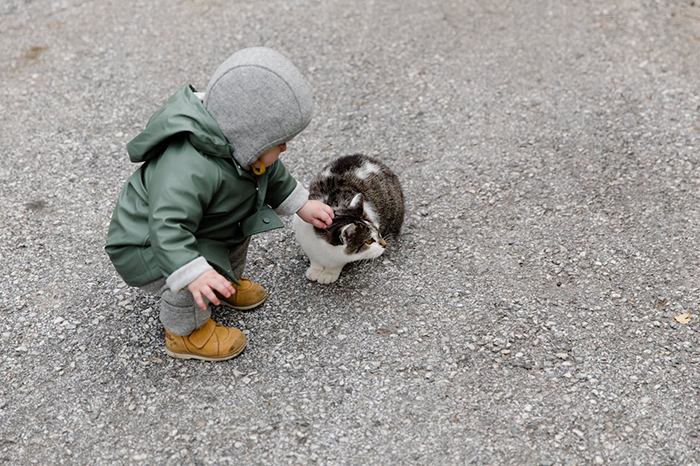 Toddler in green coat petting a cat, representing vegetarian mom's baby in a natural setting.