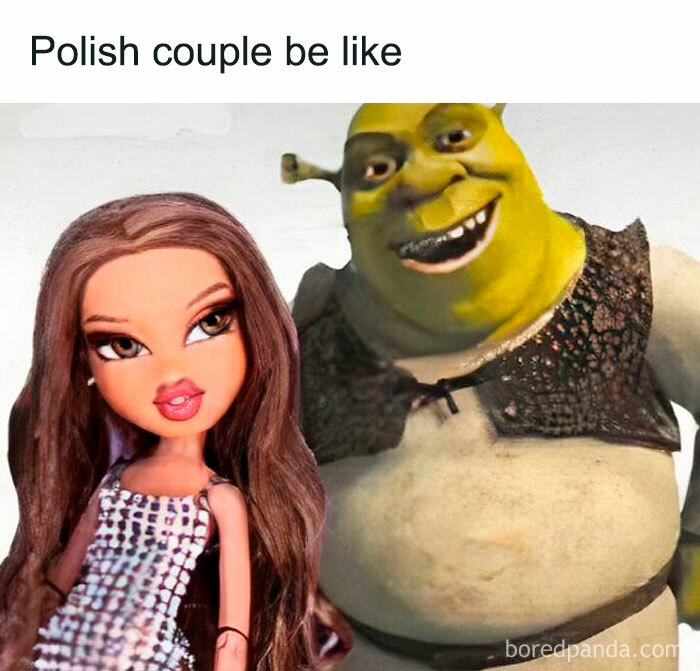 Polish meme featuring a doll and an ogre with the caption "Polish couple be like."