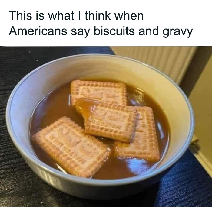 Biscuits soaked in gravy, showing a humorous take on unusual dish combinations.