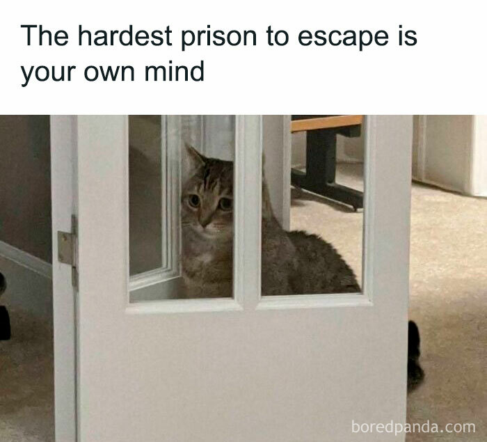 Funny cat peeking through a door, humorously illustrating the caption about mental confinement.