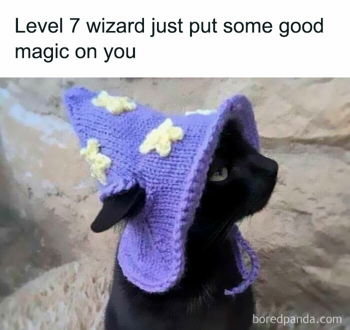 A black cat wearing a funny purple wizard hat, looking up with a curious expression.