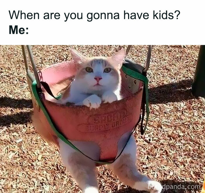 Cat sitting in a baby swing, looking surprised, with a funny caption about having kids.