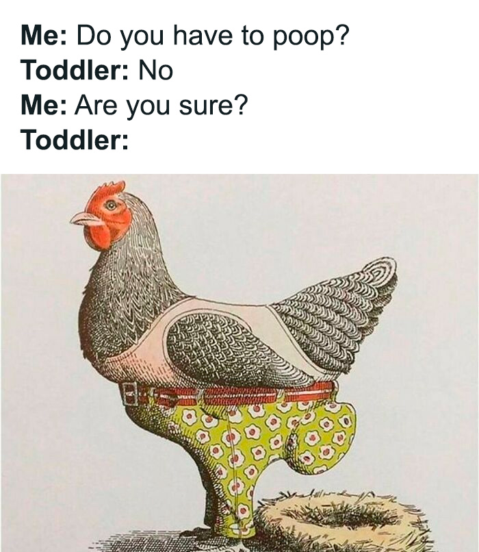 Hen in patterned pants humorously used in parenting meme about toddler toilet habits.