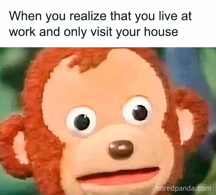 A surprised puppet monkey meme about work-life imbalance, capturing the feeling of living at work.