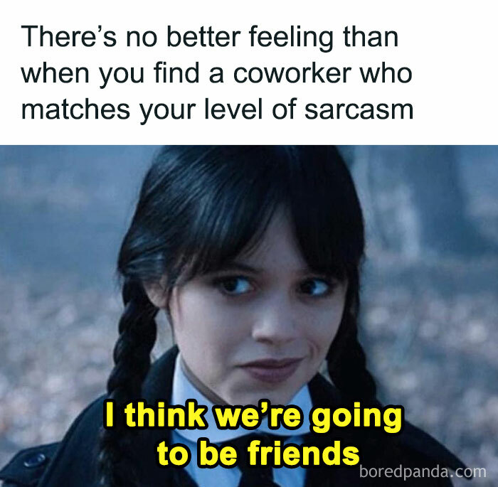 A meme showing a person with pigtails smiling, text about finding a sarcastic coworker friend.