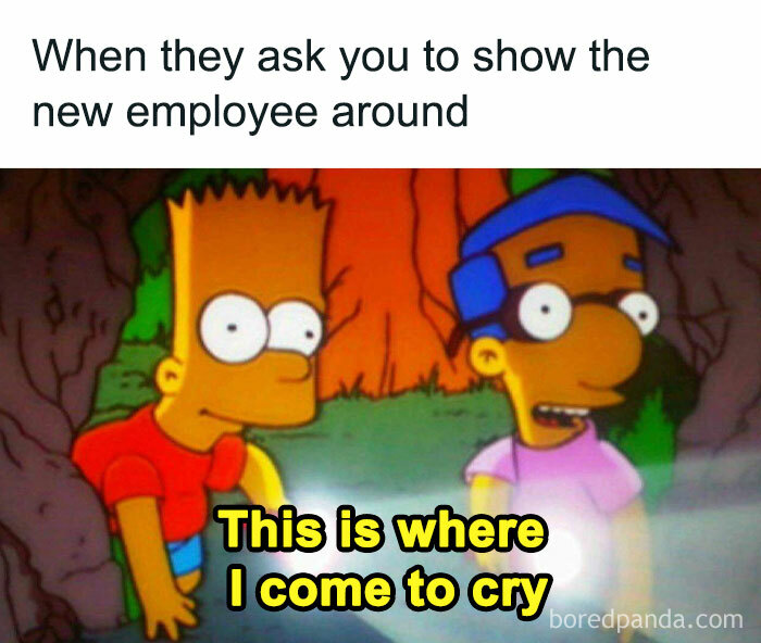 Two animated characters in a meme about work humor, with one saying, "This is where I come to cry."