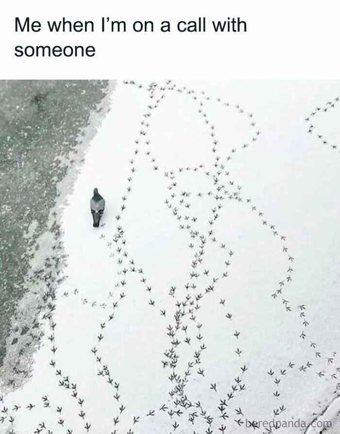 A person stands on snow with chaotic bird tracks, capturing the essence of funny spot-on humor.