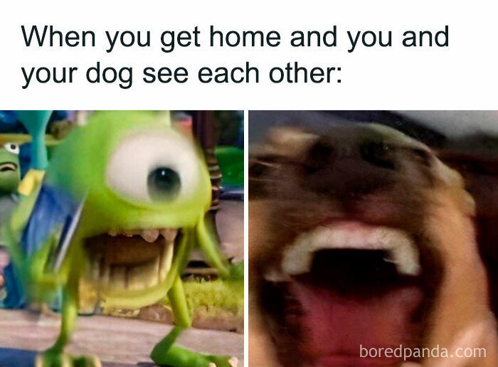 Funny post of excited reunions featuring Mike Wazowski and a joyful dog looking thrilled to see each other.