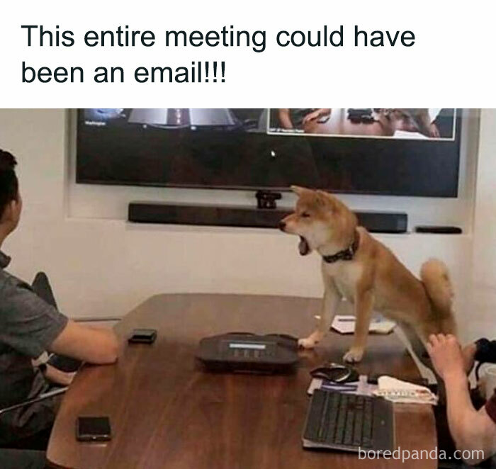 Dog standing on a conference table during a virtual meeting; humorous work meme about unnecessary meetings.