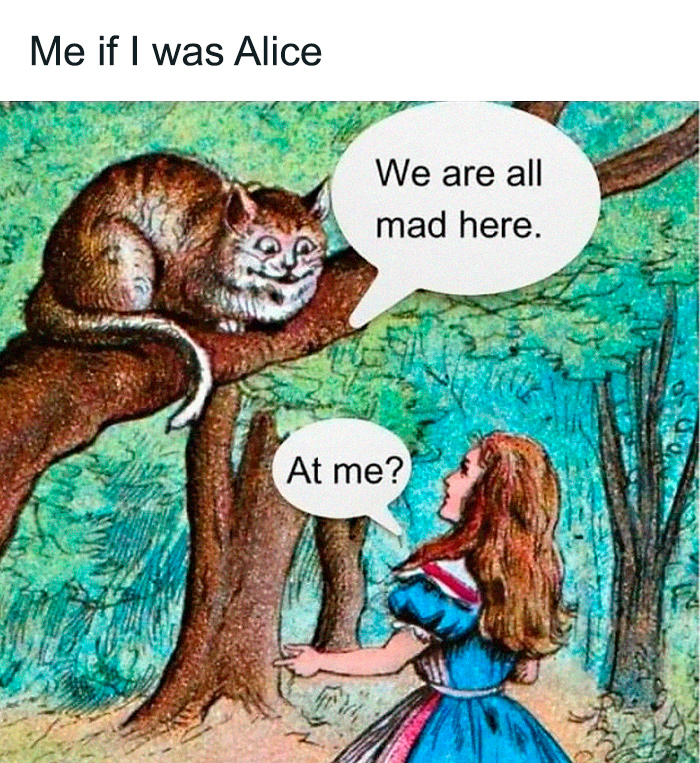 Alice with a spicy brain encounters the Cheshire Cat saying, "We are all mad here."