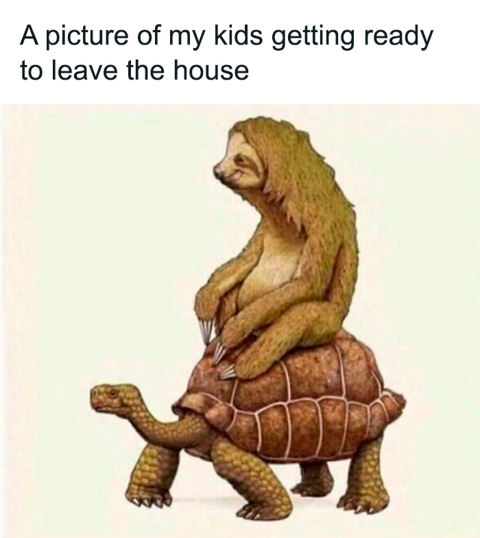 Sloth riding a turtle, humorously depicting parental chaos in a meme about kids getting ready to leave the house.