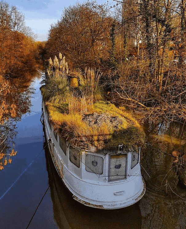 Overgrown Boat On A River In Europe