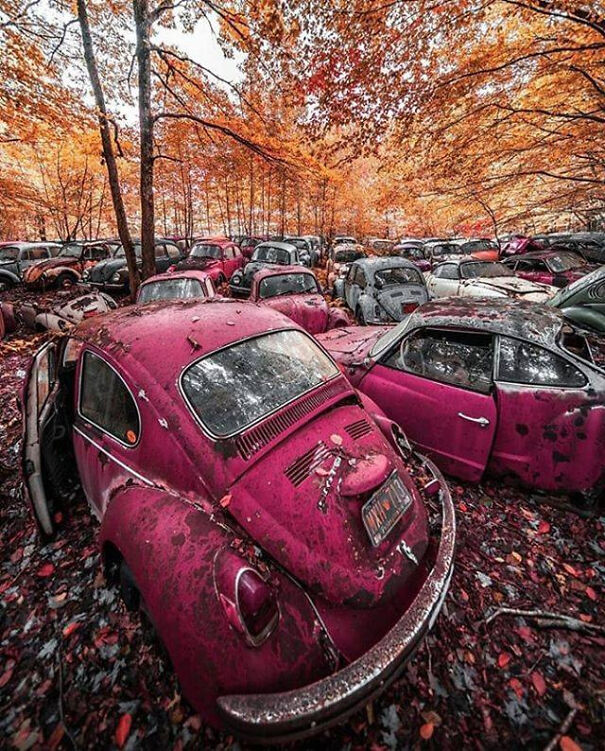 Abandoned Volkswagen Graveyard In The USA