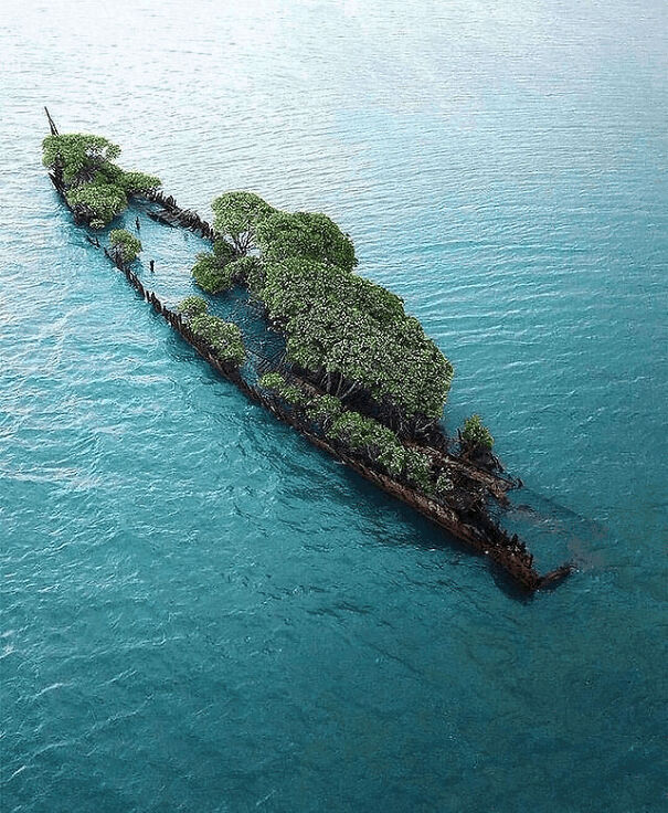 Ss City Of Adelaide Wrecked Off The Coast Of Magnetic Island, Australia