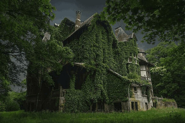 Abandoned 100-Year-Old Belgium Villa Almost Fully Overgrown