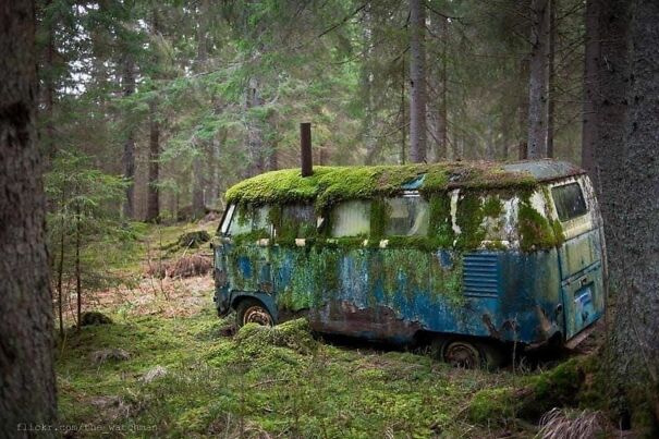 Volkswagen Bus Left To Nature In The Middle Of Sweeden