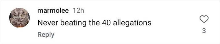 Instagram comment with a cat profile picture, joking about \"never beating the 40 allegations\", received three likes.