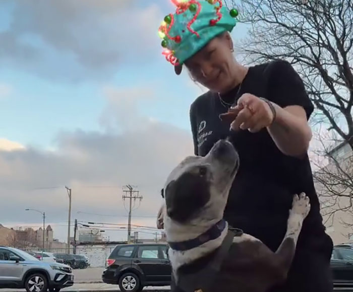 Pizzeria In Chicago Opens Doggie Treat Window, Goes Viral Due To The Most Wholesome Interactions