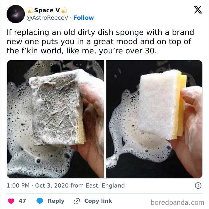 Two hands holding an old and new sponge over soapy water; highlights adulting humor.