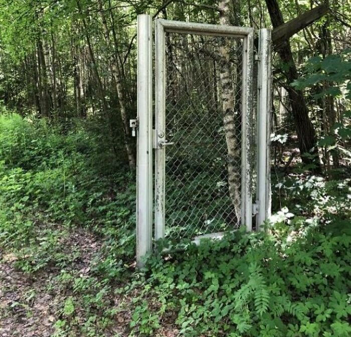 Chain-link gate inexplicably installed in forest, highlighting a construction fail amidst dense greenery.