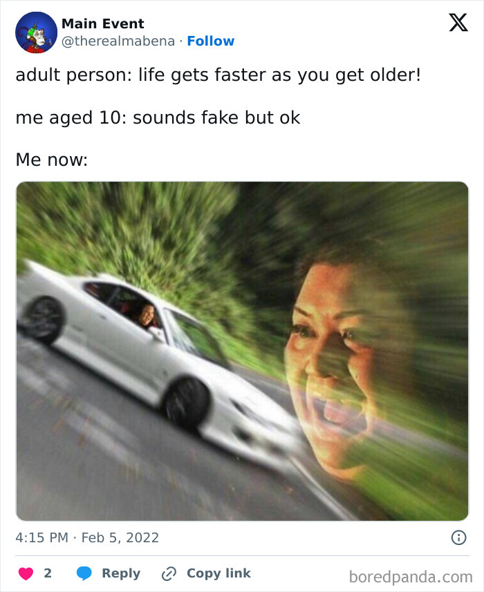 Meme about being an adult with a car speeding and a blurred face to show life moving fast.