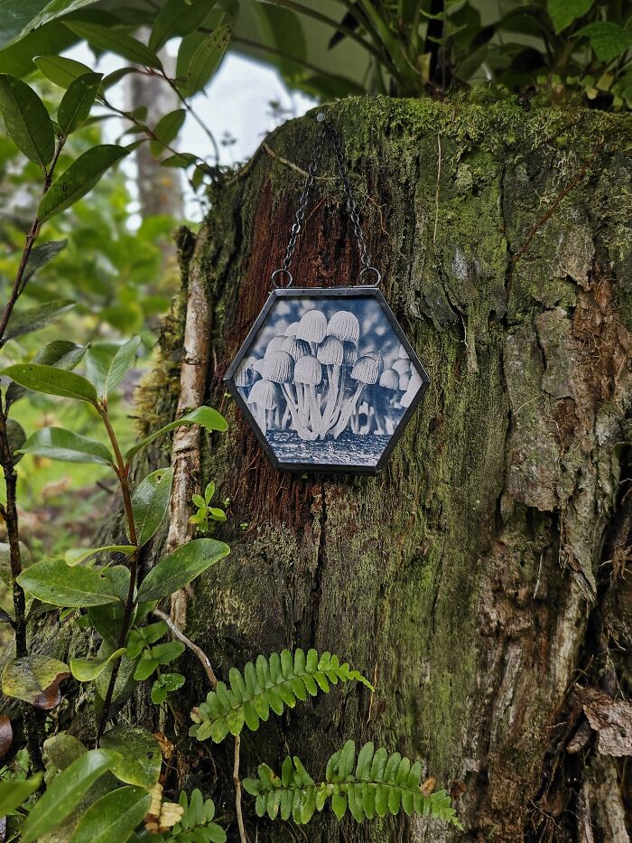 I Make Cyanotype Art With Plants And The Sun All Day