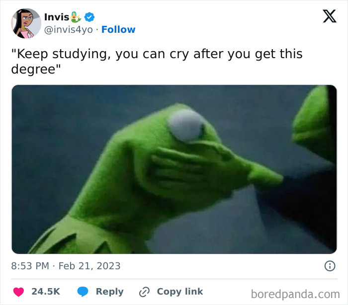 Kermit the Frog meme about university life, with the text "Keep studying, you can cry after you get this degree."