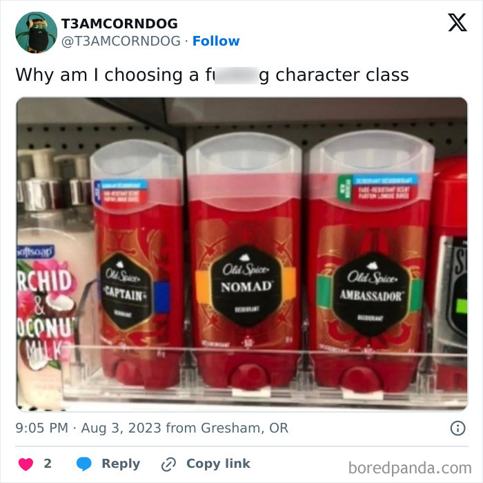 Old Spice deodorants labeled Captain, Nomad, and Ambassador in a humorous meme about choosing character classes.