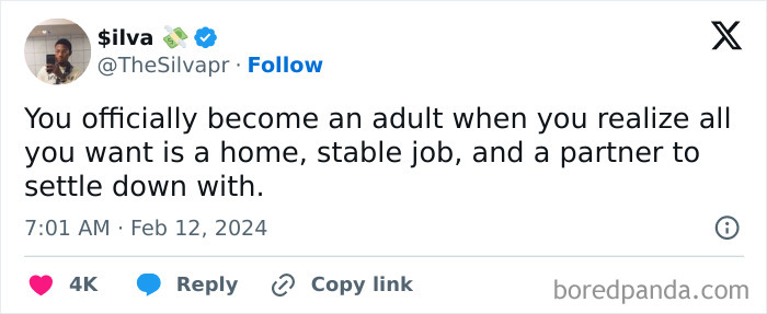 Tweet about being an adult, mentioning desires for a home, stable job, and partner.