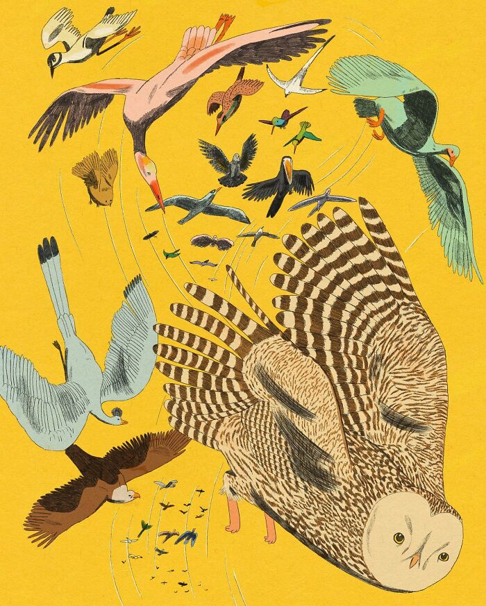 Illustration of various birds flying in whimsical and surreal patterns on a vibrant yellow background.