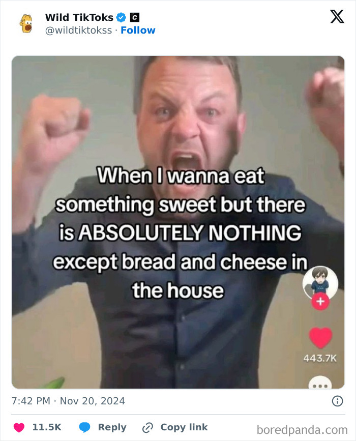 Weird-Unhinged-TikTok-Screenshots