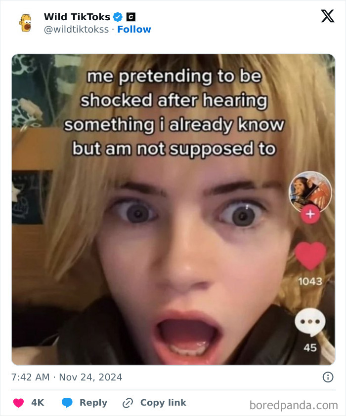 Weird-Unhinged-TikTok-Screenshots