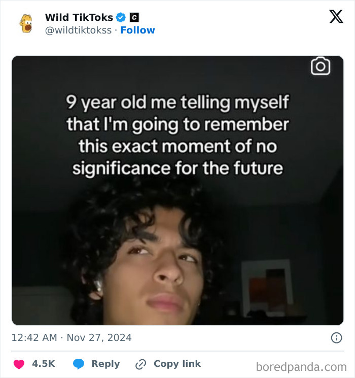 Weird-Unhinged-TikTok-Screenshots