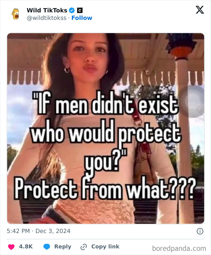 TikTok screenshot of a person with a caption questioning gender roles and protection.