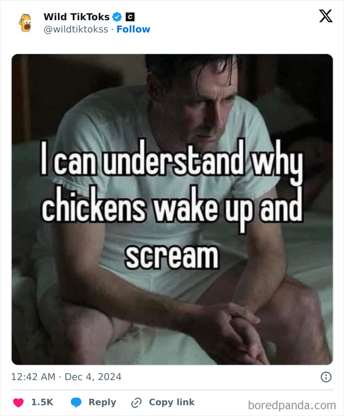 Man sitting with text overlay: "I can understand why chickens wake up and scream." TikTok screenshot humor.