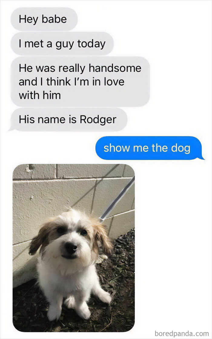 Text chat with funny pet meme about a cute dog named Rodger.