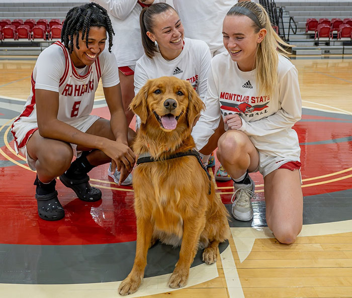 College B-Ball Team Employs Golden Retriever As Their ‘Director Of Pawsitivity,’ And Netizens Love It