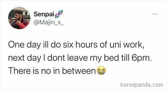 Student meme about university life balance with text about doing six hours of work or staying in bed until 6pm.